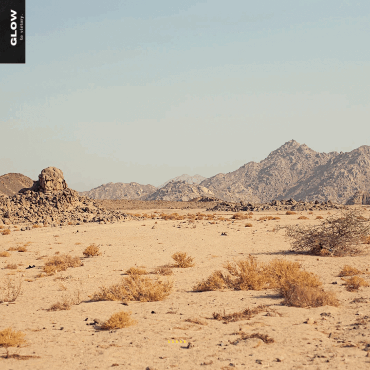 Dessert In The Desert Part&nbsp;II